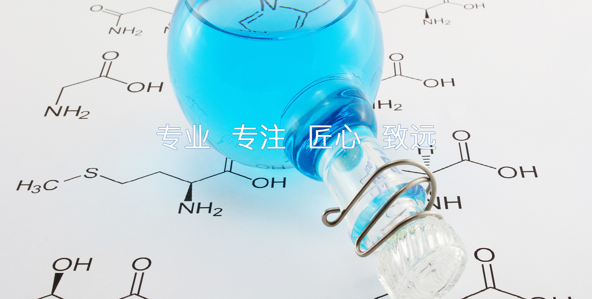 金鄉(xiāng)縣高創(chuàng)農(nóng)業(yè)科技有限公司