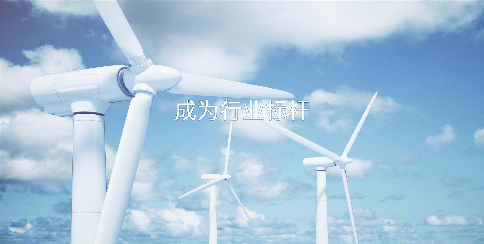 金鄉(xiāng)縣高創(chuàng)農(nóng)業(yè)科技有限公司